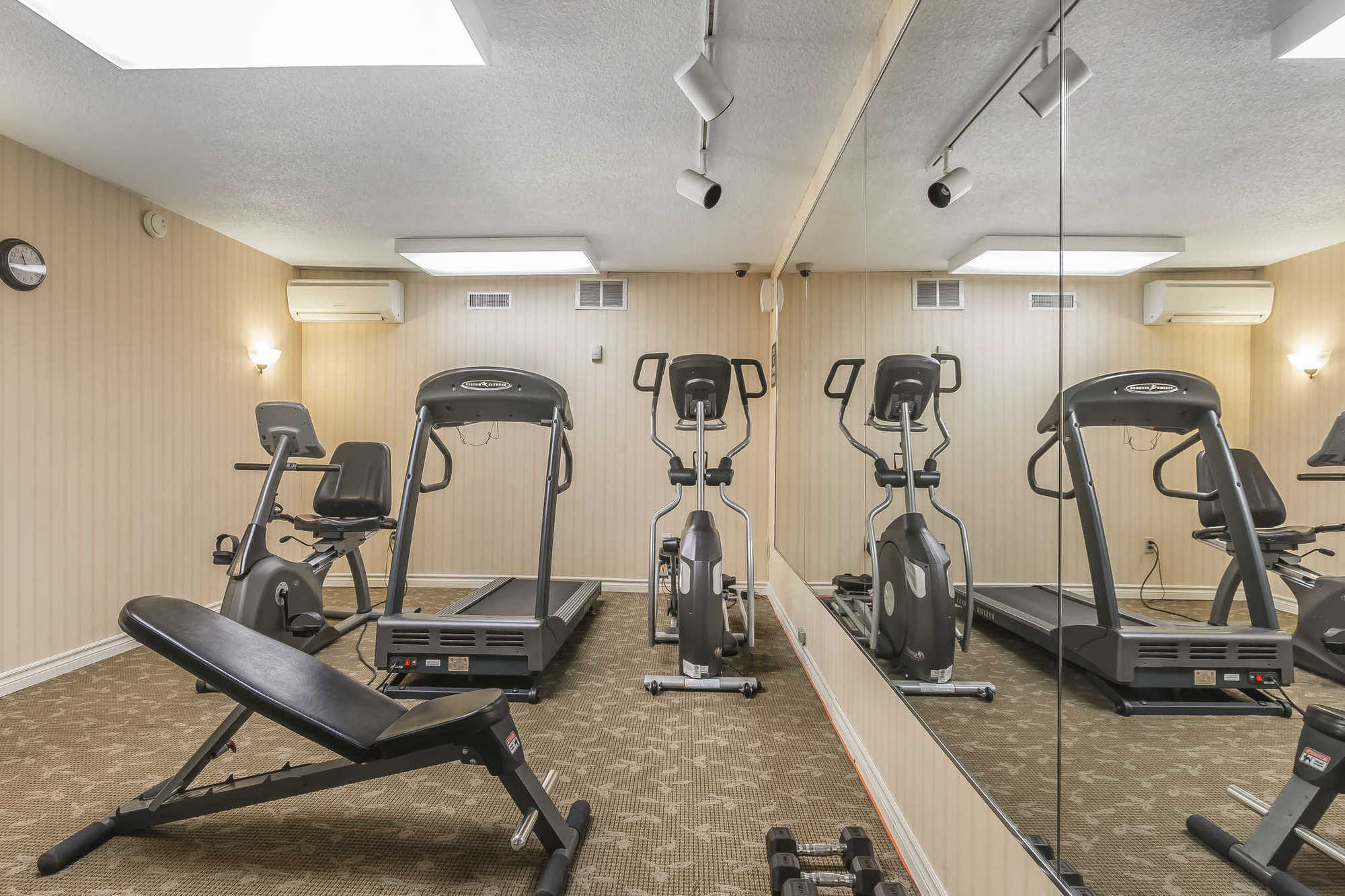 Quality Inn & Suites 5585 Ambler Drive Mississauga Ontario Удобства фото